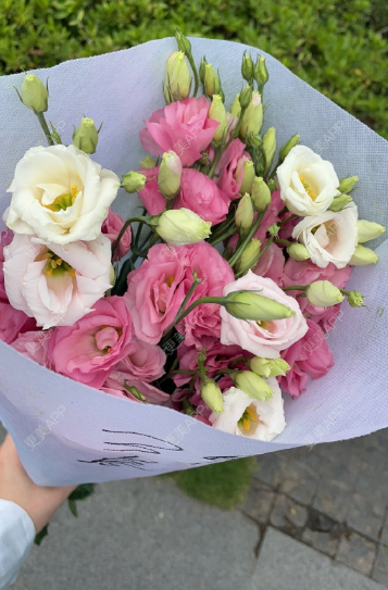 更美 - 更美用户UwLVRJ9P8W的阴唇整形经验 | 广州 | 阴唇整形