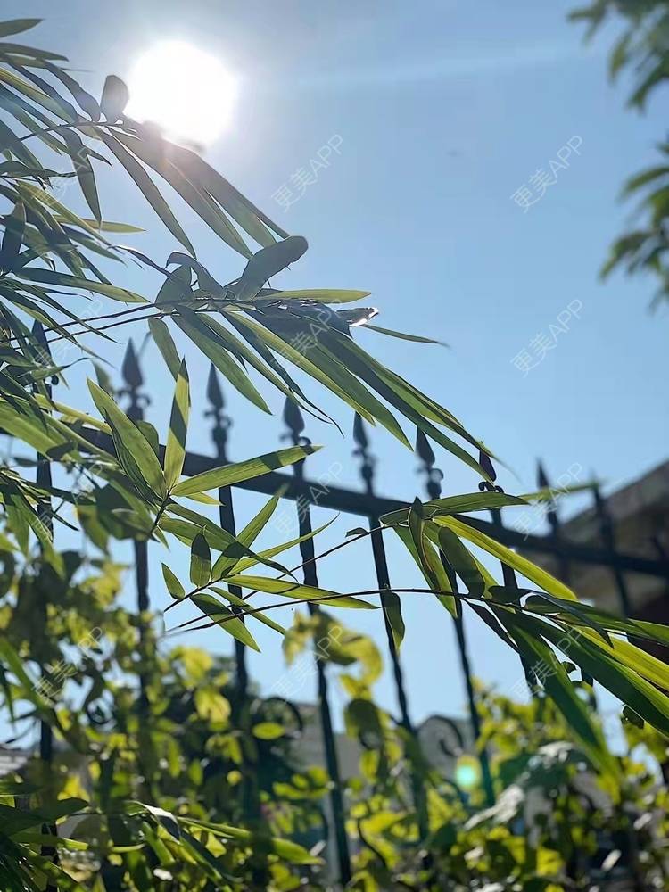 更美 - 武汉欣悦医院（私密整形医学修复中心）的阴蒂整形经验 | 阴蒂整形 | 武汉