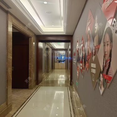 霍菲 医生