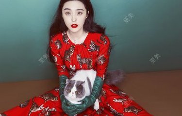 六本木木木
