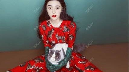 更美 - 范冰冰脸上最大的BUG，到底该如何解决？ | 鼻基底 | 鼻小柱延长 | 鼻部整形 | 胶原蛋白隆鼻 | 隆鼻 | 鼻部多项 | 鼻翼 | 鼻形矫正 | 埋线隆鼻 | 鼻中隔软骨垫鼻头 | 注射缩鼻头 | 假体垫鼻基底 | 玻尿酸鼻基底 | 自体脂肪垫鼻基底 | 鼻中隔软骨隆鼻 | 鼻孔矫正 | 鼻部修复 | 鼻形态修复 | 膨体隆鼻 | 鼻部膨体假体取出 | 驼峰鼻矫正 | 鹰钩鼻矫正 | 歪鼻矫正 | 朝天鼻矫正 | 手术缩鼻头 | 自体脂肪隆鼻 | 玻尿酸鼻部 | 自体软骨垫鼻尖 | 硅胶隆鼻 | 肋软骨隆鼻 | 鼻翼缩小