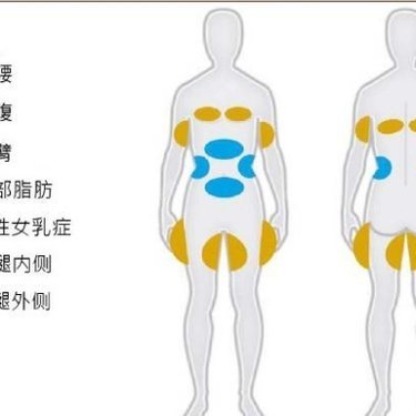 冷冻溶脂